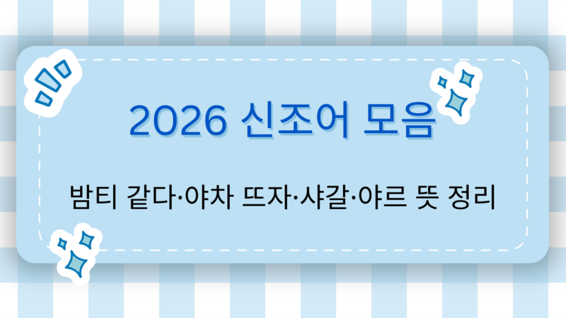 2026 신조어 모음 – 밤티 같다·야차 뜨자·샤갈·야르 뜻 정리
