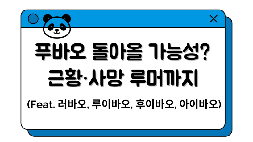 푸바오 돌아올 가능성? 근황·사망 루머까지 (Feat. 러바오, 루이바오, 후이바오, 아이바오)