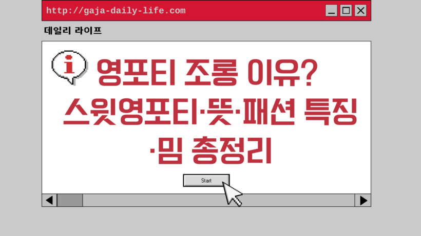 영포티 조롱 이유? 스윗영포티·뜻·패션 특징·밈 총정리